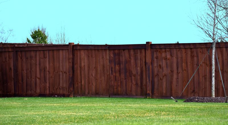 Backyard Fence Painting